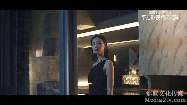 企業(yè)影視宣傳片