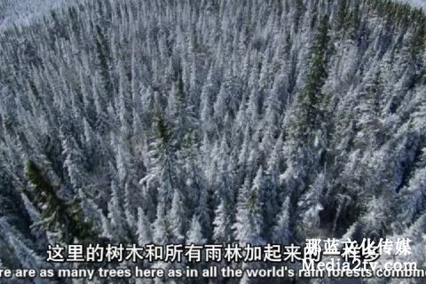 紀(jì)錄片解說詞的作用