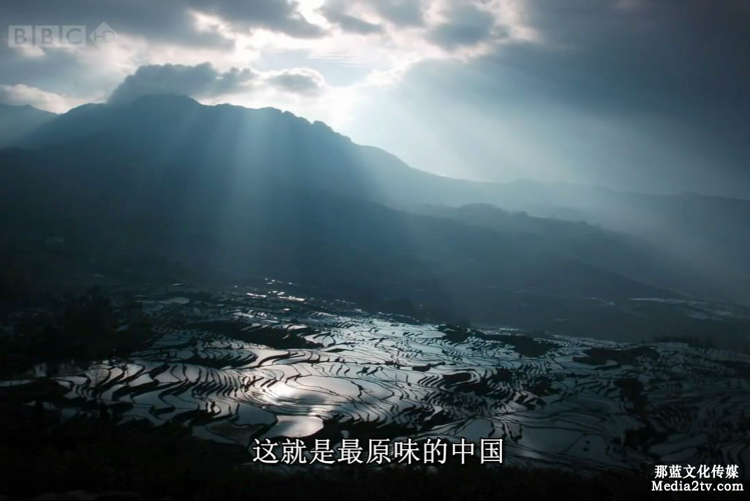 關(guān)于紀(jì)錄片你了解多少？