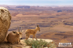 紀(jì)錄片在新媒體時(shí)代下的幾種發(fā)展模式