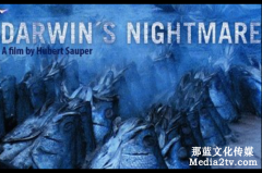 紀(jì)錄片是什么？