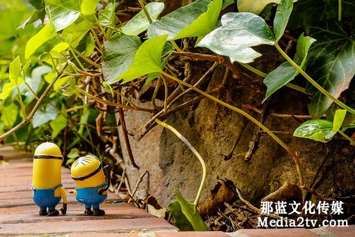 微電影策劃市場(chǎng)分析