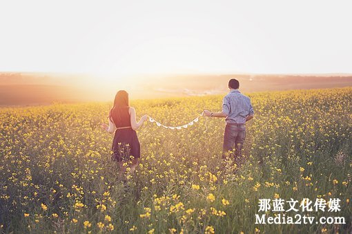 微電影在廣告市場上的優(yōu)勢 微電影在廣告市場上的優(yōu)勢