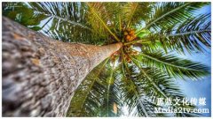 旅游宣傳片怎么做？