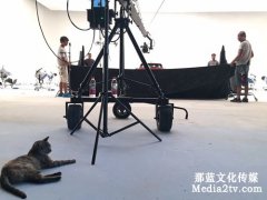 創(chuàng)意抖音短視頻有什么特點？ 創(chuàng)意抖音短視頻