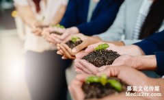 決定企業(yè)宣傳片價格的三個重要因素