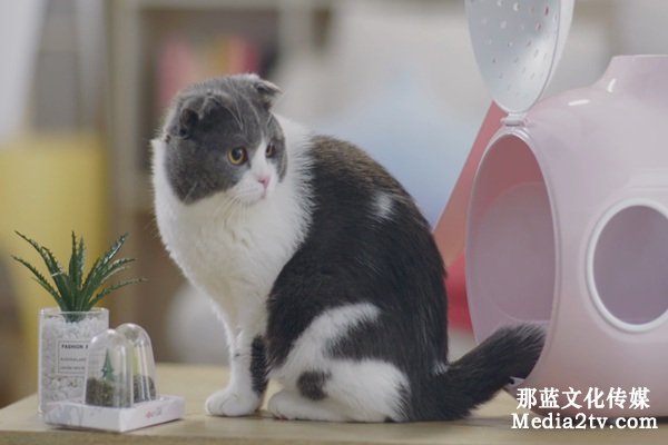 宣傳片拍攝制作策略