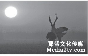 紀(jì)錄片部落-高清紀(jì)錄片下載:主旋律紀(jì)錄片國家形象的國際化傳播探究