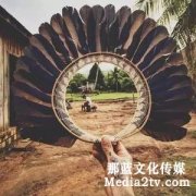 電視紀(jì)錄片的市場(chǎng)賣點(diǎn)有哪些