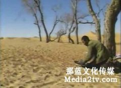 中國紀錄片的發(fā)展壯大時期