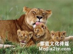 變速鏡頭在紀(jì)錄片中的作用