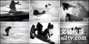 紀(jì)錄片部落-高清紀(jì)錄片下載:紀(jì)錄片《北方的納努克》拍攝特點(diǎn)