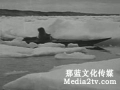 弗拉哈迪與《北方的納努克》