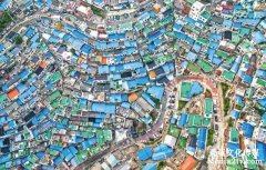 如果有一雙鳥的眼睛，你最想看到什么